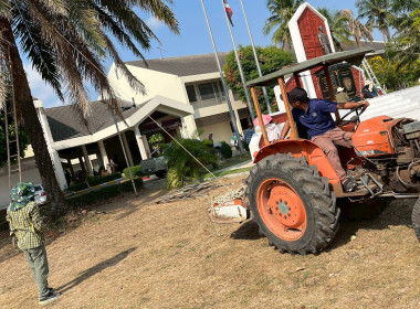 Big Cleaning Day พารามิเตอร์รูปภาพ 14